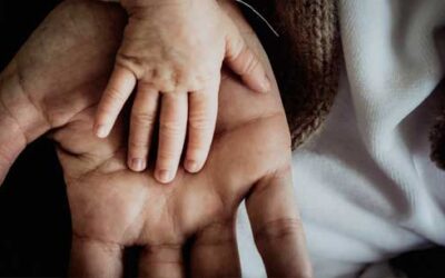 De autónomo a sociedad limitada en 7 pasos