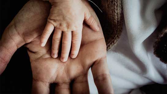 De autónomo a sociedad limitada en 7 pasos