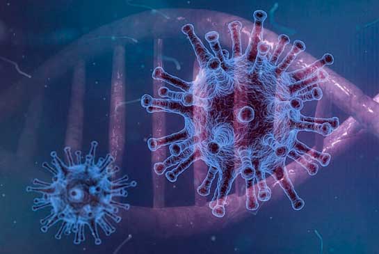 cuarentena coronavirus cuarentena coronavirus