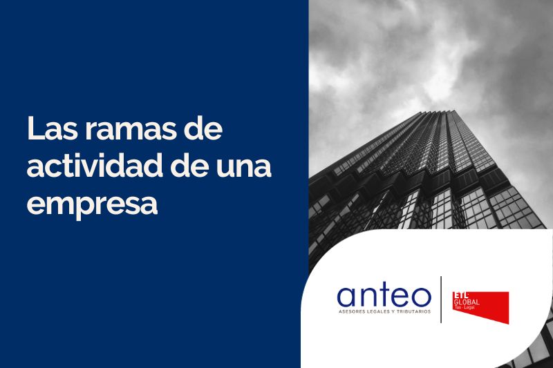 Las ramas de actividad de una empresa
