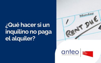¿Qué hacer si un inquilino no paga el alquiler?