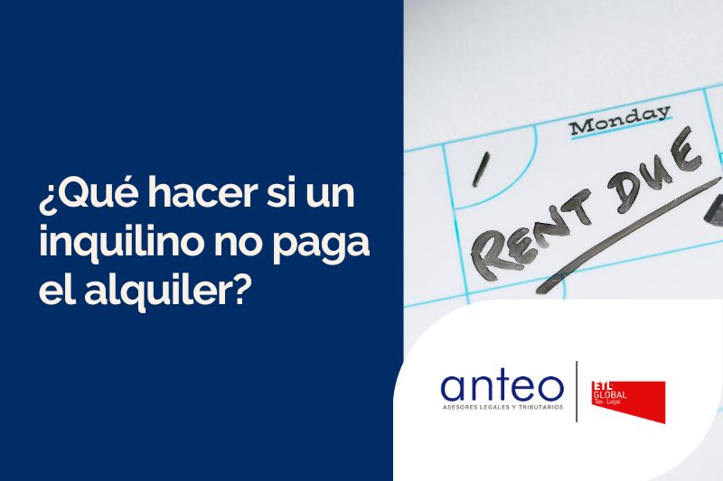 ¿Qué hacer si un inquilino no paga el alquiler?